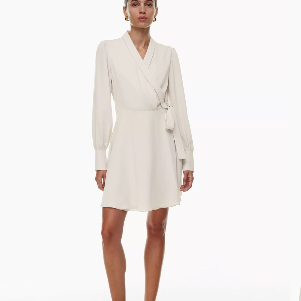 Aritzia Hyde Mini Dress